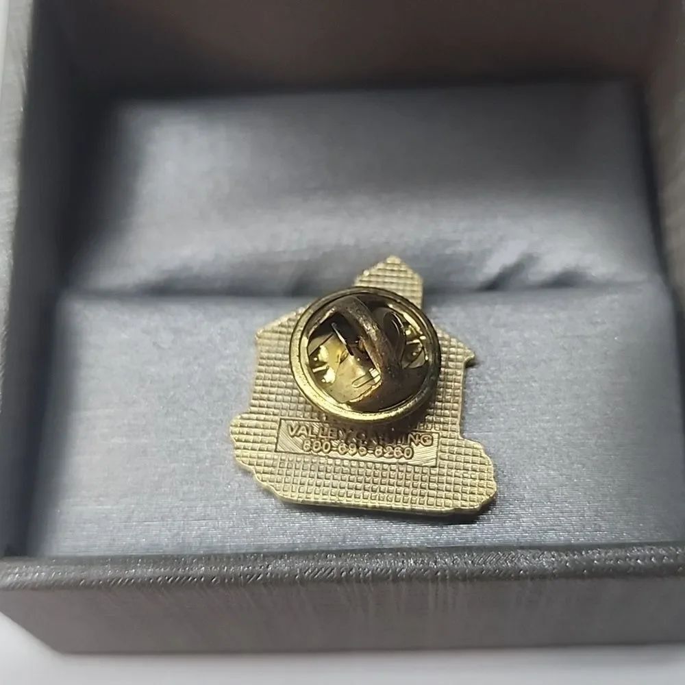 School Volunteer Pin - Picture 2 of 3